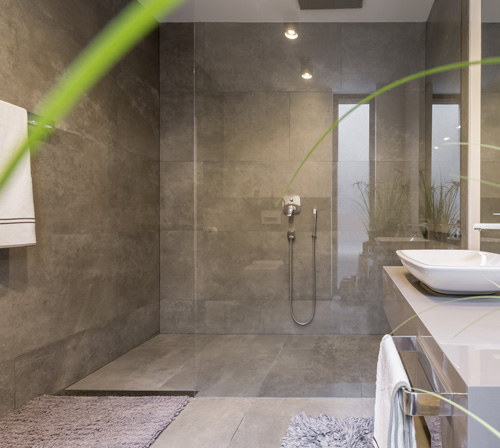 Spacious walk-in shower